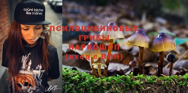 дживик Аркадак