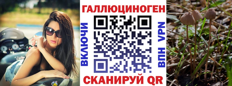 Псилоцибиновые грибы мицелий  как найти закладки  Междуреченск 